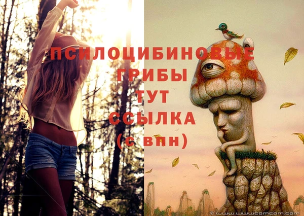 мескалин Аркадак