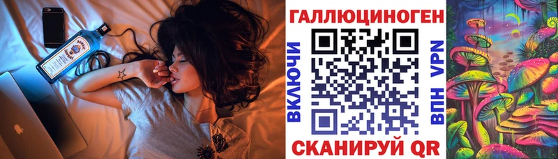 Псилоцибиновые грибы Cubensis  нарко площадка клад  Волхов  как найти закладки 